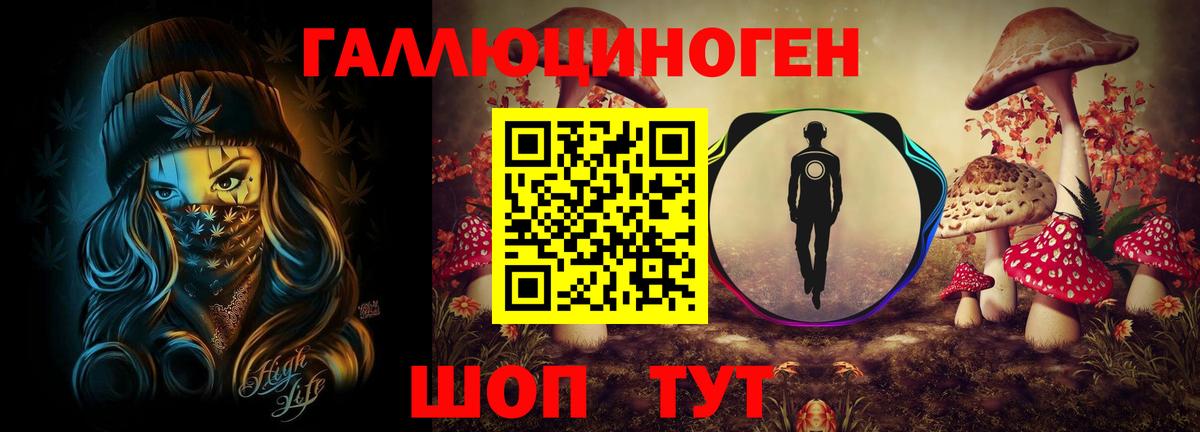 Тында  Псилоцибиновые грибы Magic Shrooms  Вход с VPN  Галлюциногенные грибы Psilocybine cubensis 