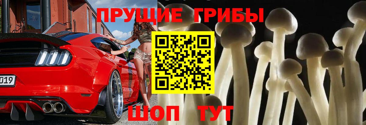 Псилоцибиновые грибы мухоморы Тында